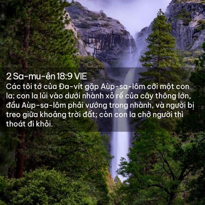 Picture 02 - 2 Sa-mu-ên 18:9 VIE - Các tôi tớ của Đa-vít gặp Aùp-sa-lôm - Bible Verse Picture