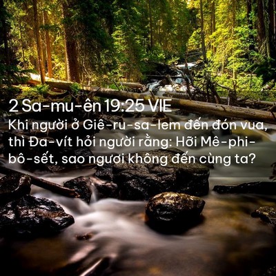Picture 02 - 2 Sa-mu-ên 19:25 VIE - Khi người ở Giê-ru-sa-lem đến đón vua, - Bible Verse Picture