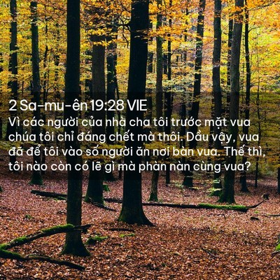 Picture 02 - 2 Sa-mu-ên 19:28 VIE - Vì các người của nhà cha tôi trước - Bible Verse Picture