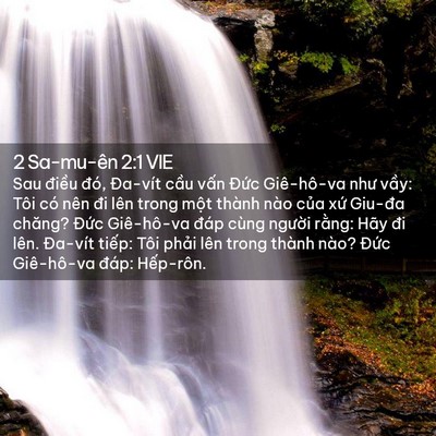 Picture 02 - 2 Sa-mu-ên 2:1 VIE - Sau điều đó, Đa-vít cầu vấn Đức - Bible Verse Picture
