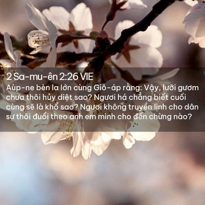 Picture 02 - 2 Sa-mu-ên 2:26 VIE - Aùp-ne bèn la lớn cùng Giô-áp rằng: - Bible Verse Picture