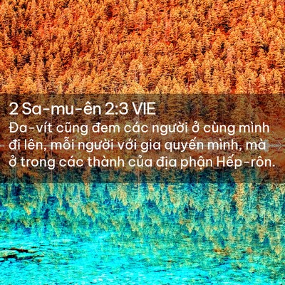 Picture 02 - 2 Sa-mu-ên 2:3 VIE - Đa-vít cũng đem các người ở cùng mình - Bible Verse Picture