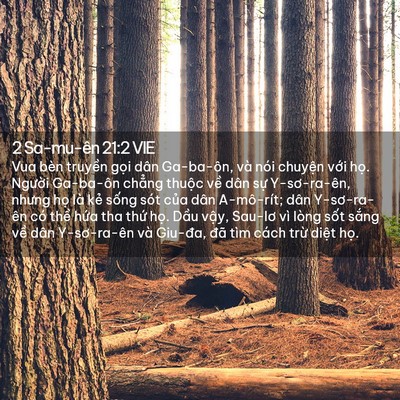 Picture 02 - 2 Sa-mu-ên 21:2 VIE - Vua bèn truyền gọi dân Ga-ba-ôn, và nói - Bible Verse Picture