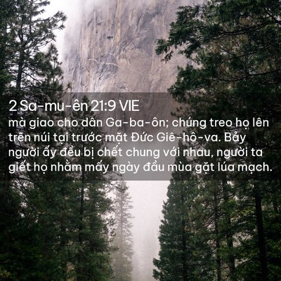 Picture 02 - 2 Sa-mu-ên 21:9 VIE - mà giao cho dân Ga-ba-ôn; chúng treo họ - Bible Verse Picture