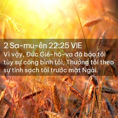 Picture 02 - 2 Sa-mu-ên 22:25 VIE - Vì vậy, Đức Giê-hô-va đã báo tôi tùy - Bible Verse Picture