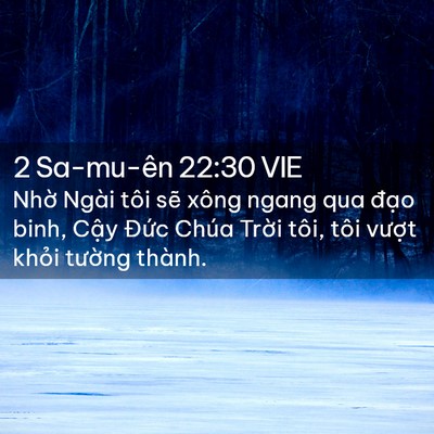 Picture 02 - 2 Sa-mu-ên 22:30 VIE - Nhờ Ngài tôi sẽ xông ngang qua đạo - Bible Verse Picture