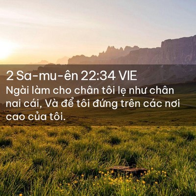 Picture 02 - 2 Sa-mu-ên 22:34 VIE - Ngài làm cho chân tôi lẹ như chân nai - Bible Verse Picture