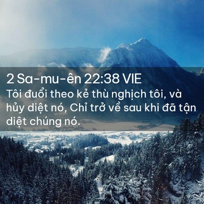 Picture 02 - 2 Sa-mu-ên 22:38 VIE - Tôi đuổi theo kẻ thù nghịch tôi, và - Bible Verse Picture