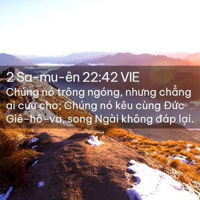 Picture 02 - 2 Sa-mu-ên 22:42 VIE - Chúng nó trông ngóng, nhưng chẳng ai cứu - Bible Verse Picture