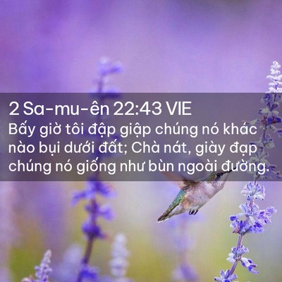 Picture 02 - 2 Sa-mu-ên 22:43 VIE - Bấy giờ tôi đập giập chúng nó khác - Bible Verse Picture