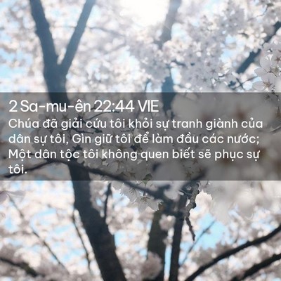 Picture 02 - 2 Sa-mu-ên 22:44 VIE - Chúa đã giải cứu tôi khỏi sự tranh - Bible Verse Picture