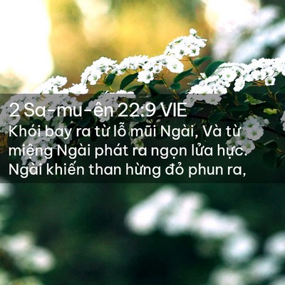 Picture 02 - 2 Sa-mu-ên 22:9 VIE - Khói bay ra từ lỗ mũi Ngài, Và từ - Bible Verse Picture