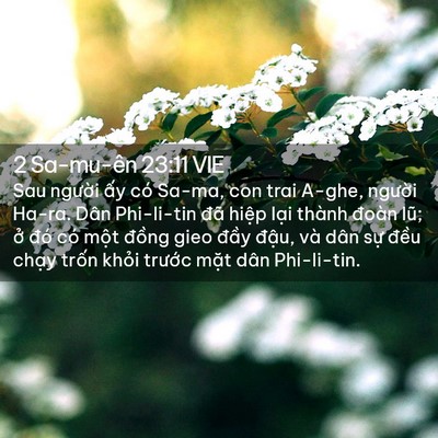 Picture 02 - 2 Sa-mu-ên 23:11 VIE - Sau người ấy có Sa-ma, con trai A-ghe, - Bible Verse Picture