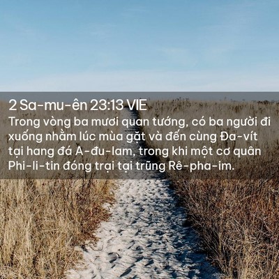 Picture 02 - 2 Sa-mu-ên 23:13 VIE - Trong vòng ba mươi quan tướng, có ba - Bible Verse Picture