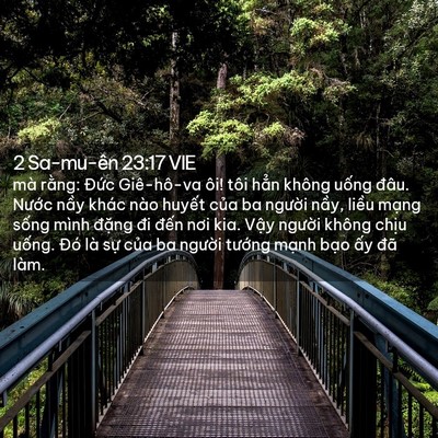 Picture 02 - 2 Sa-mu-ên 23:17 VIE - mà rằng: Đức Giê-hô-va ôi! tôi hẳn - Bible Verse Picture
