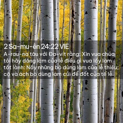 Picture 02 - 2 Sa-mu-ên 24:22 VIE - A-rau-na tâu với Đa-vít rằng: Xin vua - Bible Verse Picture