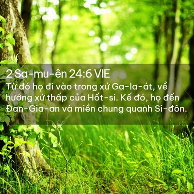 Picture 02 - 2 Sa-mu-ên 24:6 VIE - Từ đó họ đi vào trong xứ Ga-la-át, - Bible Verse Picture