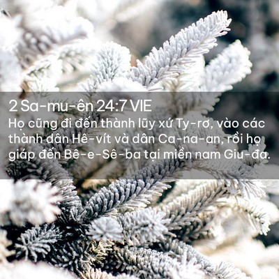 Picture 02 - 2 Sa-mu-ên 24:7 VIE - Họ cũng đi đến thành lũy xứ Ty-rơ, - Bible Verse Picture