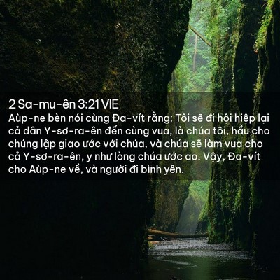 Picture 02 - 2 Sa-mu-ên 3:21 VIE - Aùp-ne bèn nói cùng Đa-vít rằng: Tôi - Bible Verse Picture