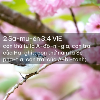 Picture 02 - 2 Sa-mu-ên 3:4 VIE - con thứ tư là A-đô-ni-gia, con trai của - Bible Verse Picture