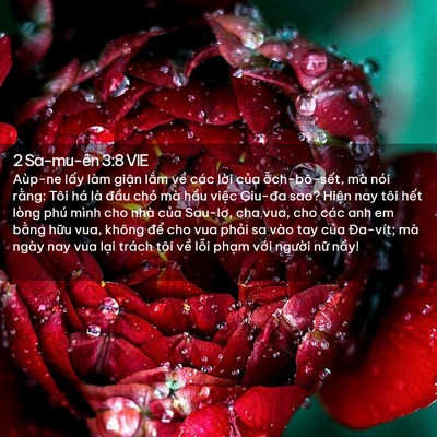 Picture 02 - 2 Sa-mu-ên 3:8 VIE - Aùp-ne lấy làm giận lắm về các lời - Bible Verse Picture