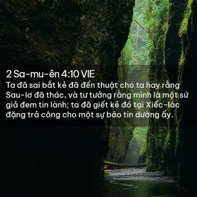 Picture 02 - 2 Sa-mu-ên 4:10 VIE - Ta đã sai bắt kẻ đã đến thuật cho ta - Bible Verse Picture