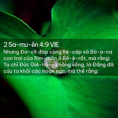 Picture 02 - 2 Sa-mu-ên 4:9 VIE - Nhưng Đa-vít đáp cùng Rê-cáp và Ba-a-na - Bible Verse Picture