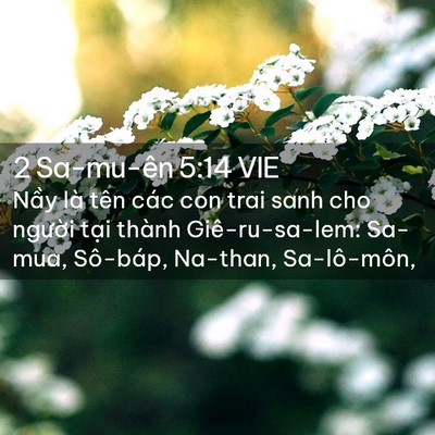 Picture 02 - 2 Sa-mu-ên 5:14 VIE - Nầy là tên các con trai sanh cho người - Bible Verse Picture