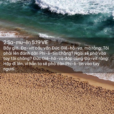 Picture 02 - 2 Sa-mu-ên 5:19 VIE - Bấy giờ, Đa-vít cầu vấn Đức - Bible Verse Picture