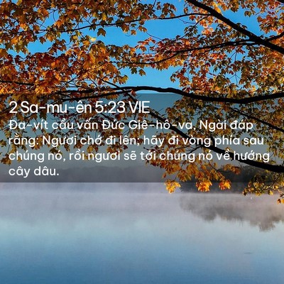 Picture 02 - 2 Sa-mu-ên 5:23 VIE - Đa-vít cầu vấn Đức Giê-hô-va, Ngài - Bible Verse Picture