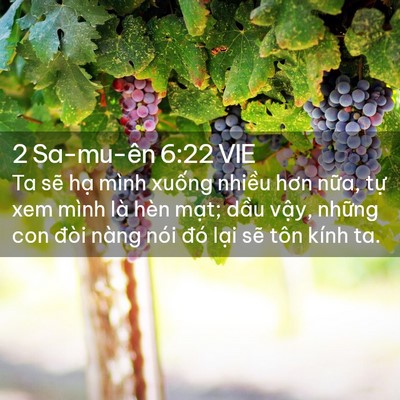 Picture 02 - 2 Sa-mu-ên 6:22 VIE - Ta sẽ hạ mình xuống nhiều hơn nữa, - Bible Verse Picture
