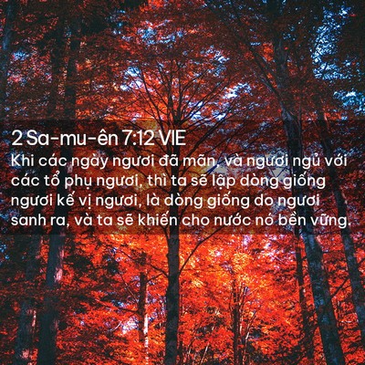 Picture 02 - 2 Sa-mu-ên 7:12 VIE - Khi các ngày ngươi đã mãn, và ngươi - Bible Verse Picture