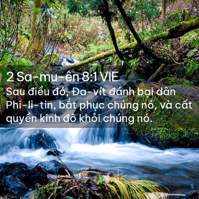 Picture 02 - 2 Sa-mu-ên 8:1 VIE - Sau điều đó, Đa-vít đánh bại dân - Bible Verse Picture