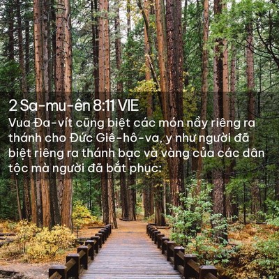 Picture 02 - 2 Sa-mu-ên 8:11 VIE - Vua Đa-vít cũng biệt các món nầy riêng - Bible Verse Picture