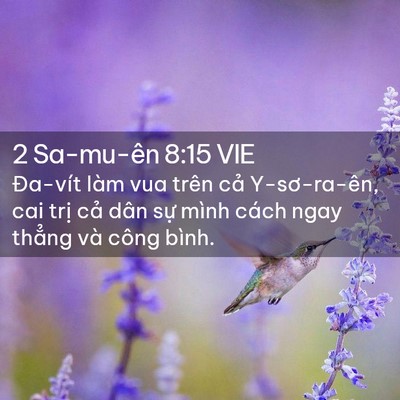 Picture 02 - 2 Sa-mu-ên 8:15 VIE - Đa-vít làm vua trên cả Y-sơ-ra-ên, cai - Bible Verse Picture