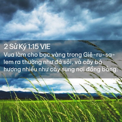 Picture 02 - 2 Sử Ký 1:15 VIE - Vua làm cho bạc vàng trong Giê-ru-sa-lem ra - Bible Verse Picture