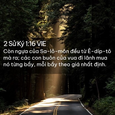 Picture 02 - 2 Sử Ký 1:16 VIE - Còn ngựa của Sa-lô-môn đều từ - Bible Verse Picture