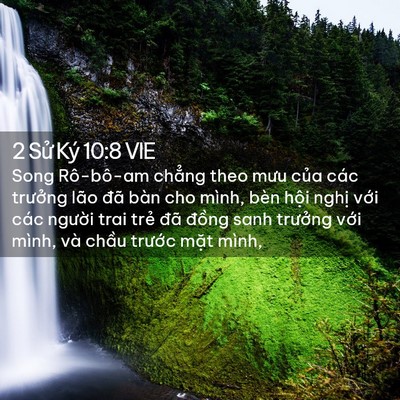Picture 02 - 2 Sử Ký 10:8 VIE - Song Rô-bô-am chẳng theo mưu của các - Bible Verse Picture