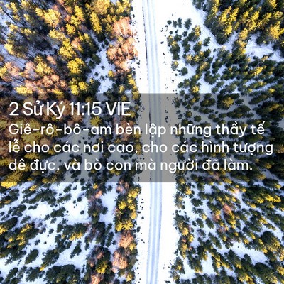 Picture 02 - 2 Sử Ký 11:15 VIE - Giê-rô-bô-am bèn lập những thầy tế - Bible Verse Picture