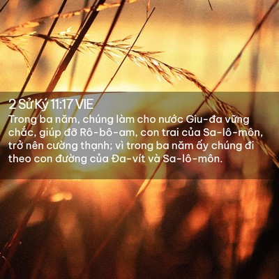 Picture 02 - 2 Sử Ký 11:17 VIE - Trong ba năm, chúng làm cho nước Giu-đa - Bible Verse Picture