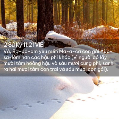 Picture 02 - 2 Sử Ký 11:21 VIE - Vả, Rô-bô-am yêu mến Ma-a-ca con gái - Bible Verse Picture