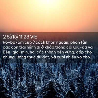 Picture 02 - 2 Sử Ký 11:23 VIE - Rô-bô-am cư xử cách khôn ngoan, phân - Bible Verse Picture