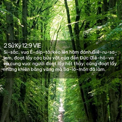 Picture 02 - 2 Sử Ký 12:9 VIE - Si-sắc, vua Ê-díp-tô, kéo lên hãm đánh - Bible Verse Picture