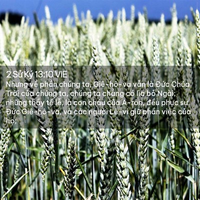 Picture 02 - 2 Sử Ký 13:10 VIE - Nhưng về phần chúng ta, Giê-hô-va vẫn - Bible Verse Picture