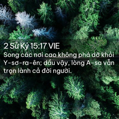 Picture 02 - 2 Sử Ký 15:17 VIE - Song các nơi cao không phá dỡ khỏi - Bible Verse Picture