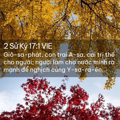 Picture 02 - 2 Sử Ký 17:1 VIE - Giô-sa-phát, con trai A-sa, cai trị thế cho - Bible Verse Picture