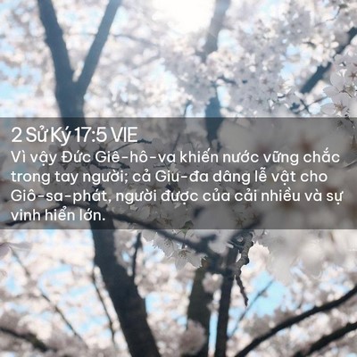 Picture 02 - 2 Sử Ký 17:5 VIE - Vì vậy Đức Giê-hô-va khiến nước - Bible Verse Picture