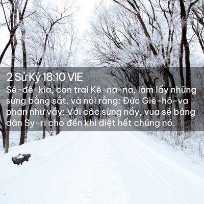 Picture 02 - 2 Sử Ký 18:10 VIE - Sê-đê-kia, con trai Kê-na-na, làm lấy - Bible Verse Picture