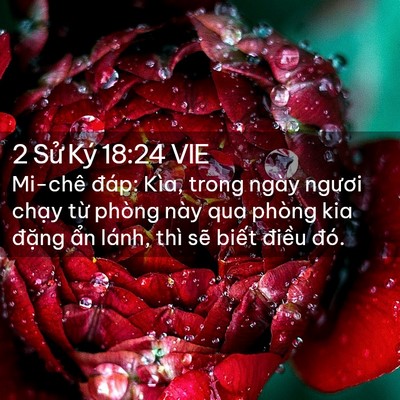 Picture 02 - 2 Sử Ký 18:24 VIE - Mi-chê đáp: Kìa, trong ngày ngươi chạy - Bible Verse Picture