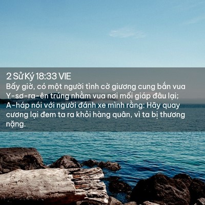 Picture 02 - 2 Sử Ký 18:33 VIE - Bấy giờ, có một người tình cờ - Bible Verse Picture
